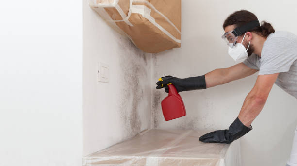 Professional Bathroom Mold Removal technician working in Crofton, MD
