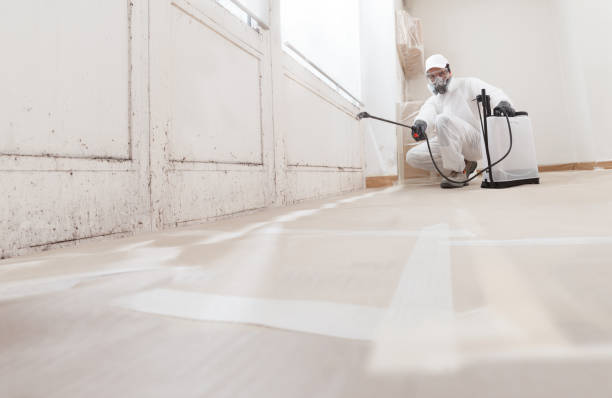 24/7 Emergency Bathroom Mold Removal experts in Crofton, MD