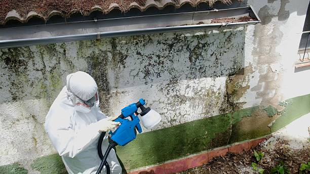 Trusted Crawl Space Mold Removal service in Crofton, MD - Cheap Mold Removal